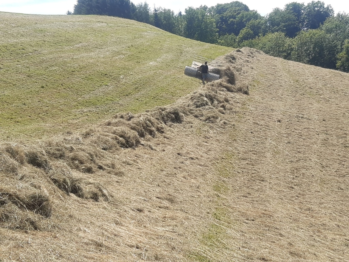 Landschaftspflege © Alois Gaderer