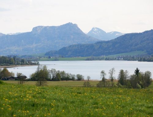 Regionaler Naturschutzplan Bauernland – Attergau – Vöcklatal