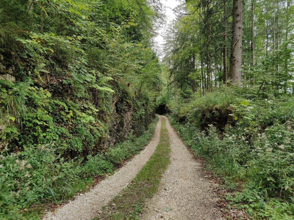 Tag des offenen Waldes © Naturpark Bauernland Tag des offenen Waldes © Naturpark Bauernland