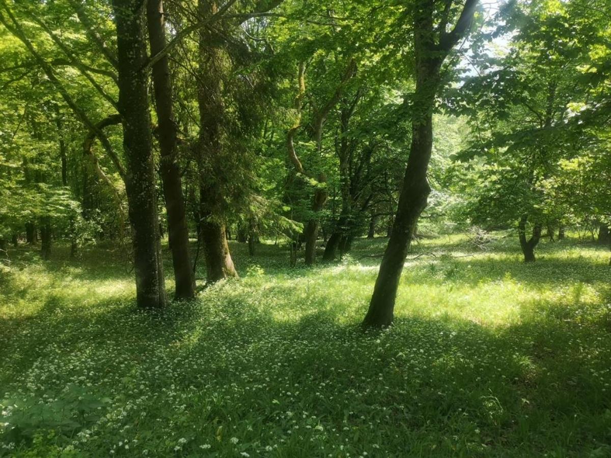 Lieblingsplatz im Naturpark Bauernland © Naturpark Bauernland