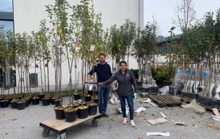 Naturpark-Team sortiert Obstbäume