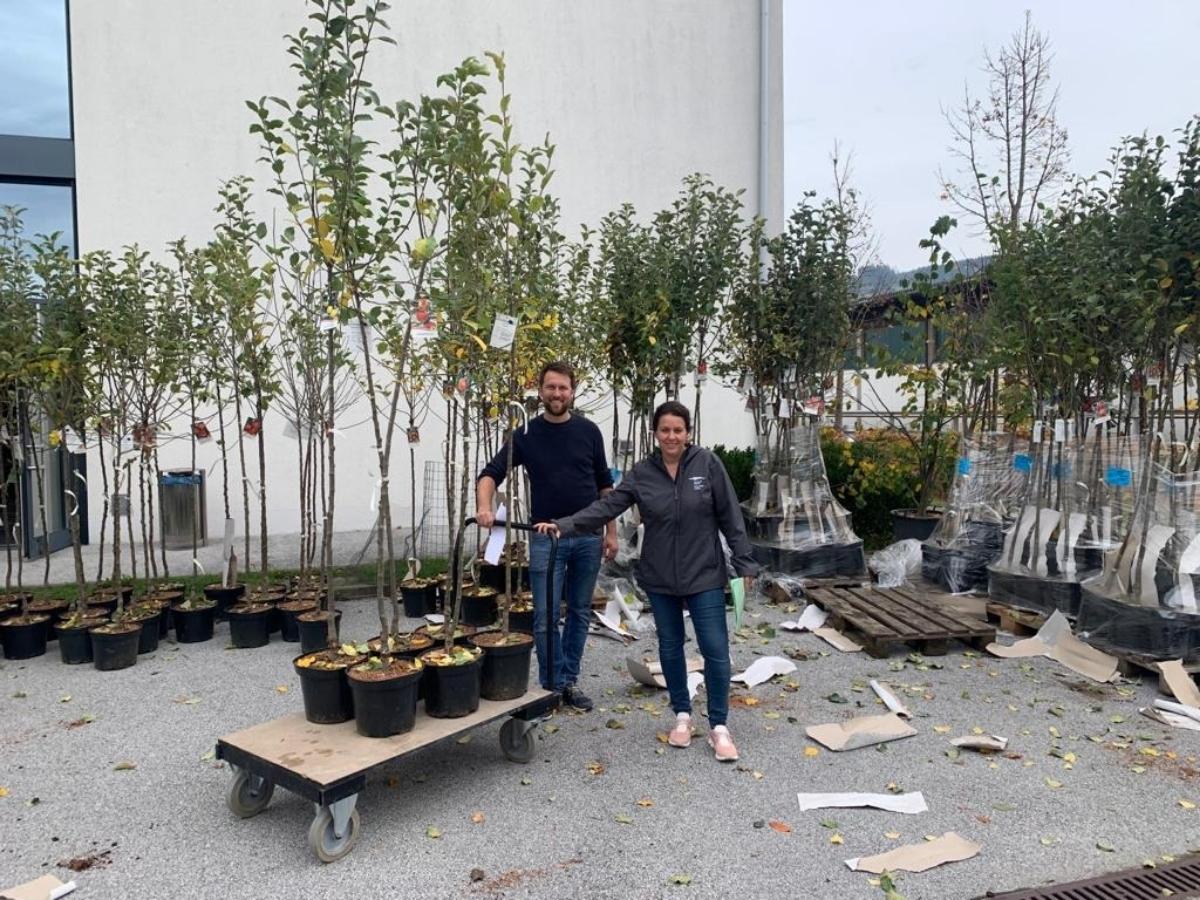 Naturpark-Team sortiert Obstbäume