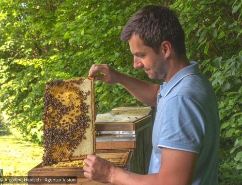 „Goldener“ Honig aus der Naturpark-Region