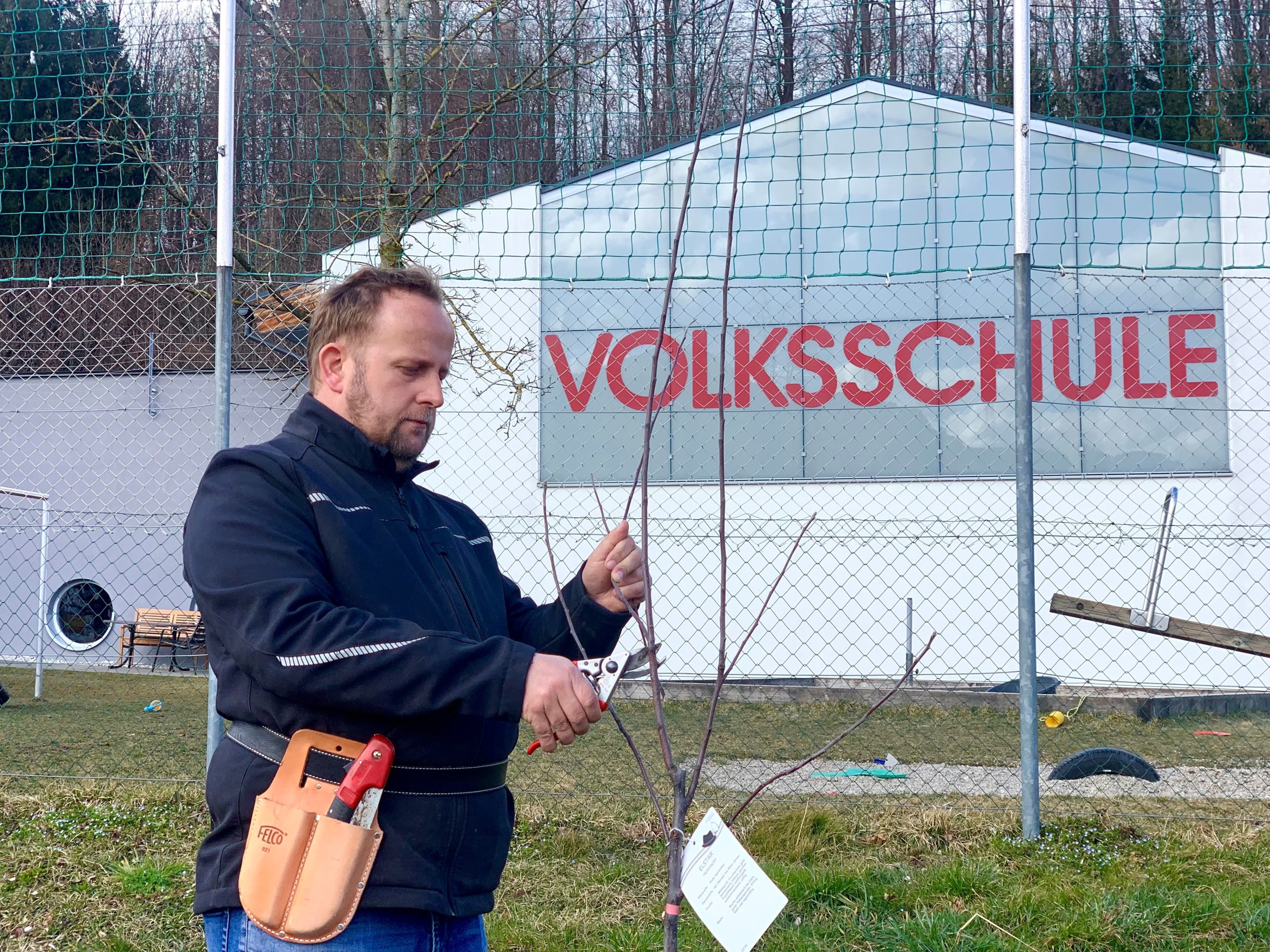 Andreas Hammerl schneidet Patenbäume bei Schulen