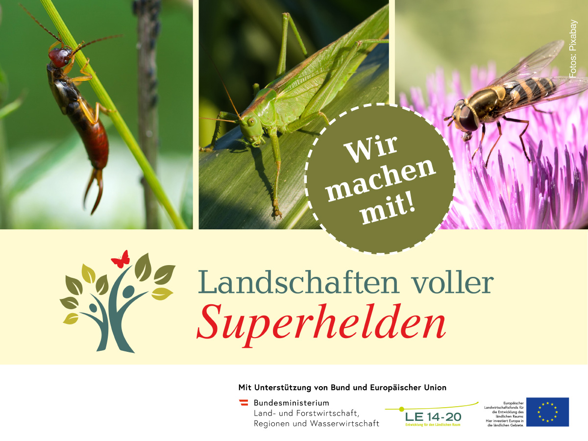 Landschaften voller Superhelden