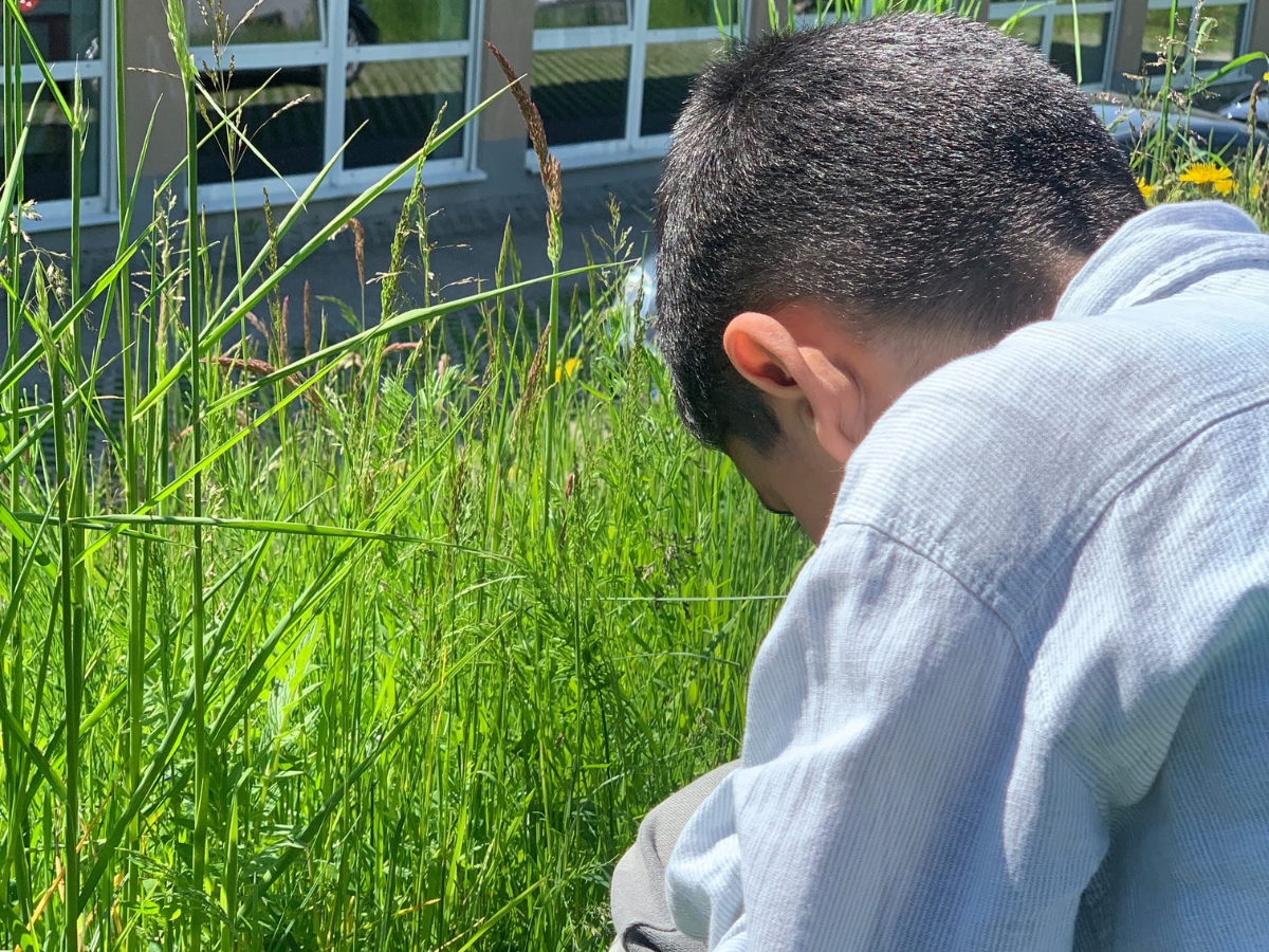 Schüler auf Insektensuche