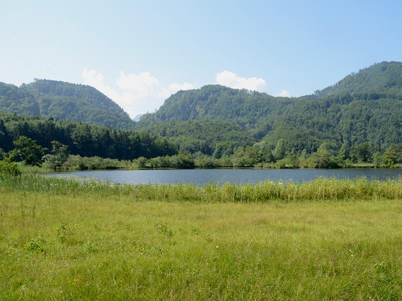 Wiese beim Egelsee © www.biowin.at