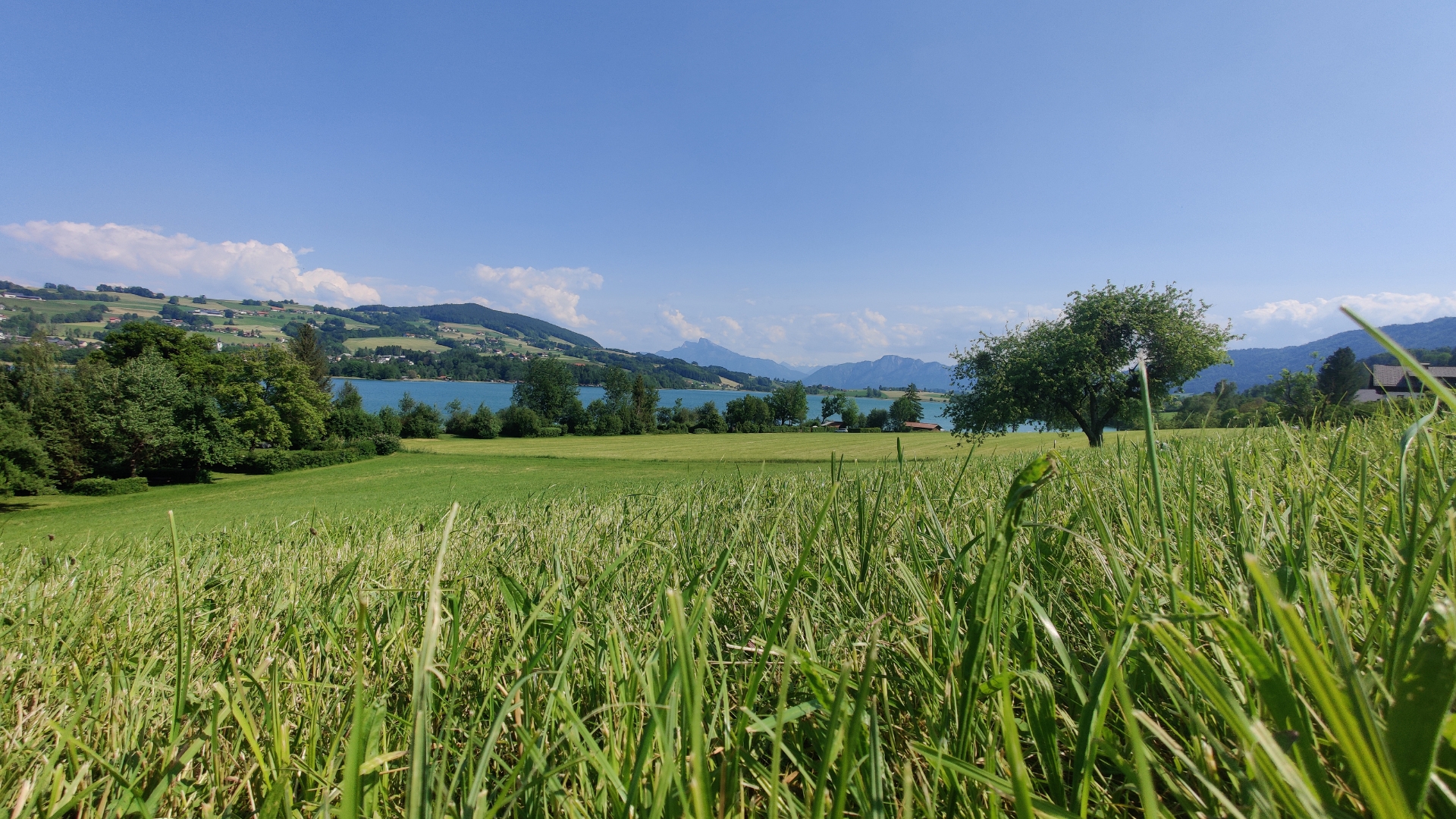 Sommer am Irrsee