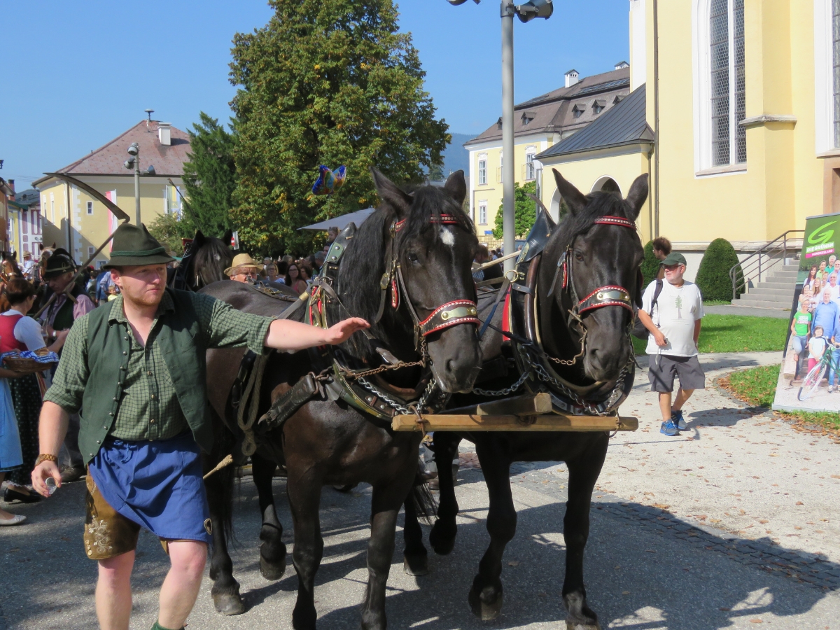 Am Traditionellen Bauernmarkt Mondsee