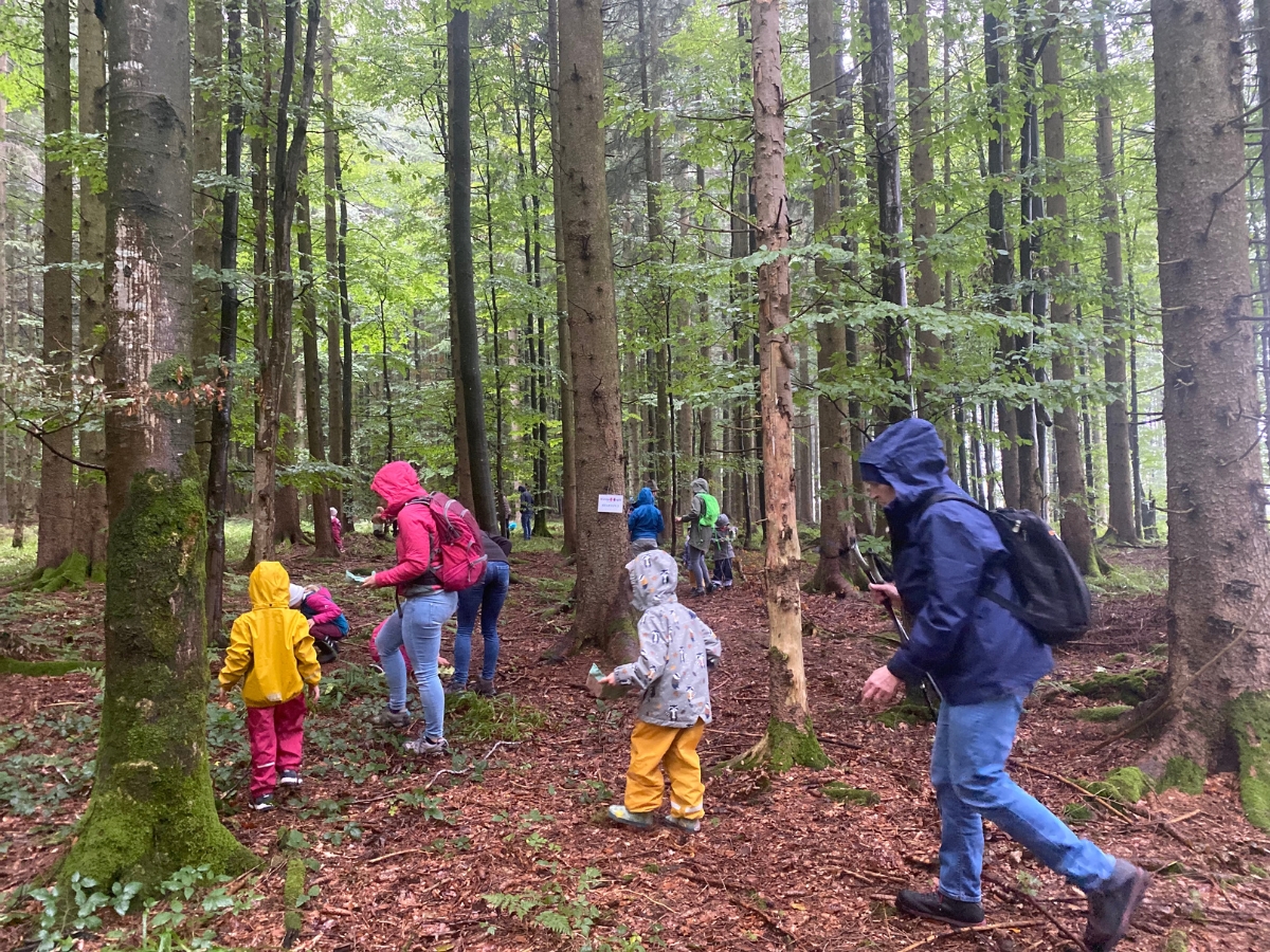 Spielestationen im Wald