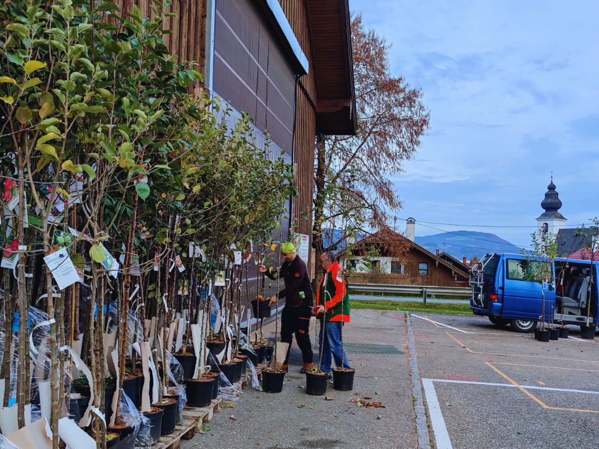 Obstbaum-Aktion 2022 in Zell am Moos