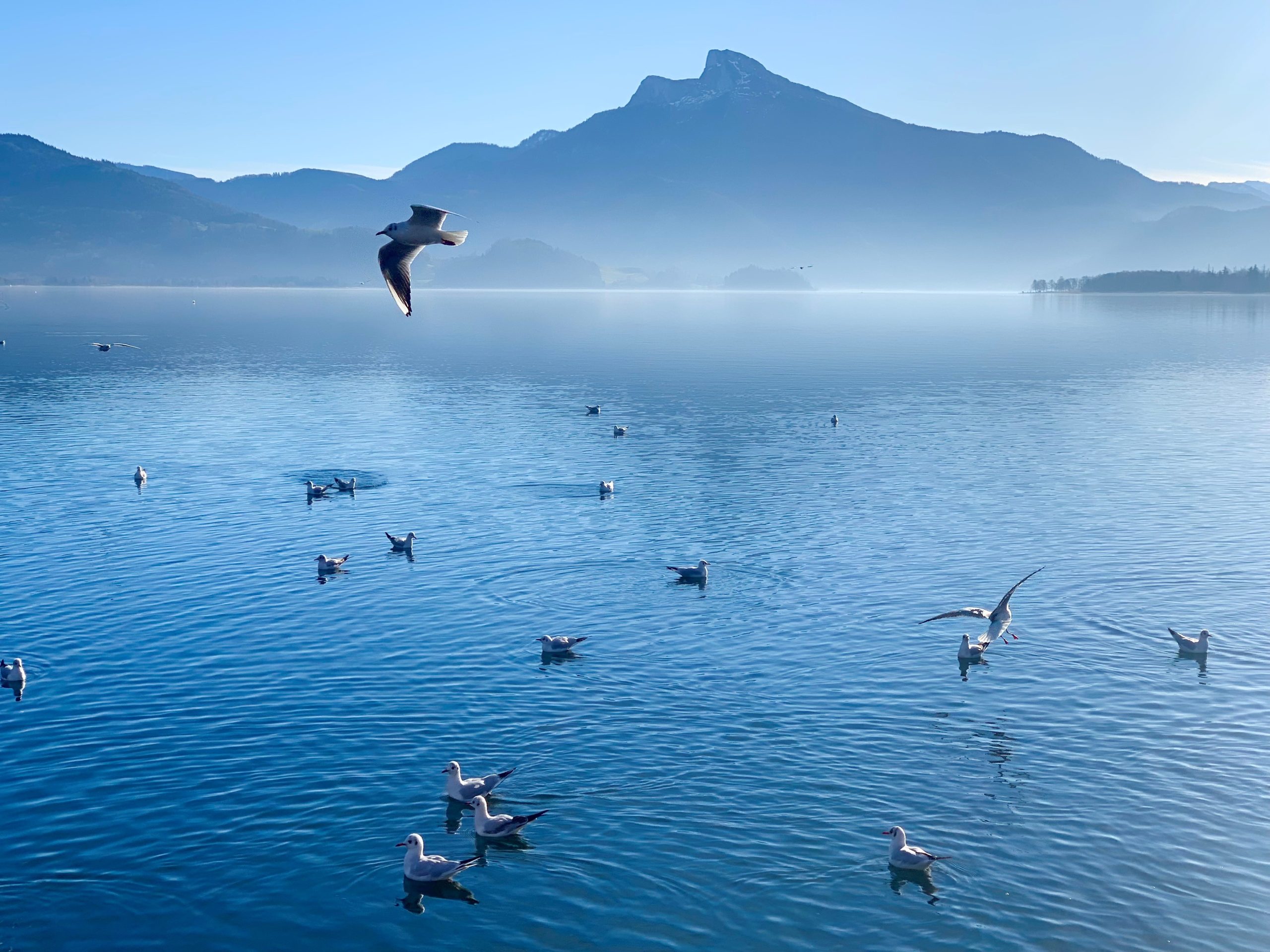 Klarer Wintermorgen am Mondsee