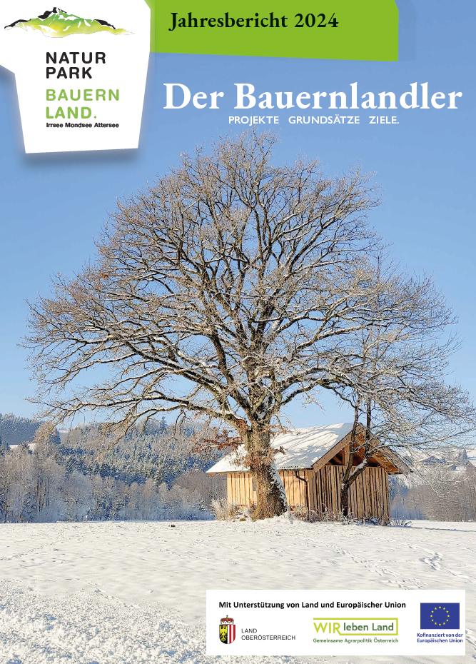 Jahresbericht 2024