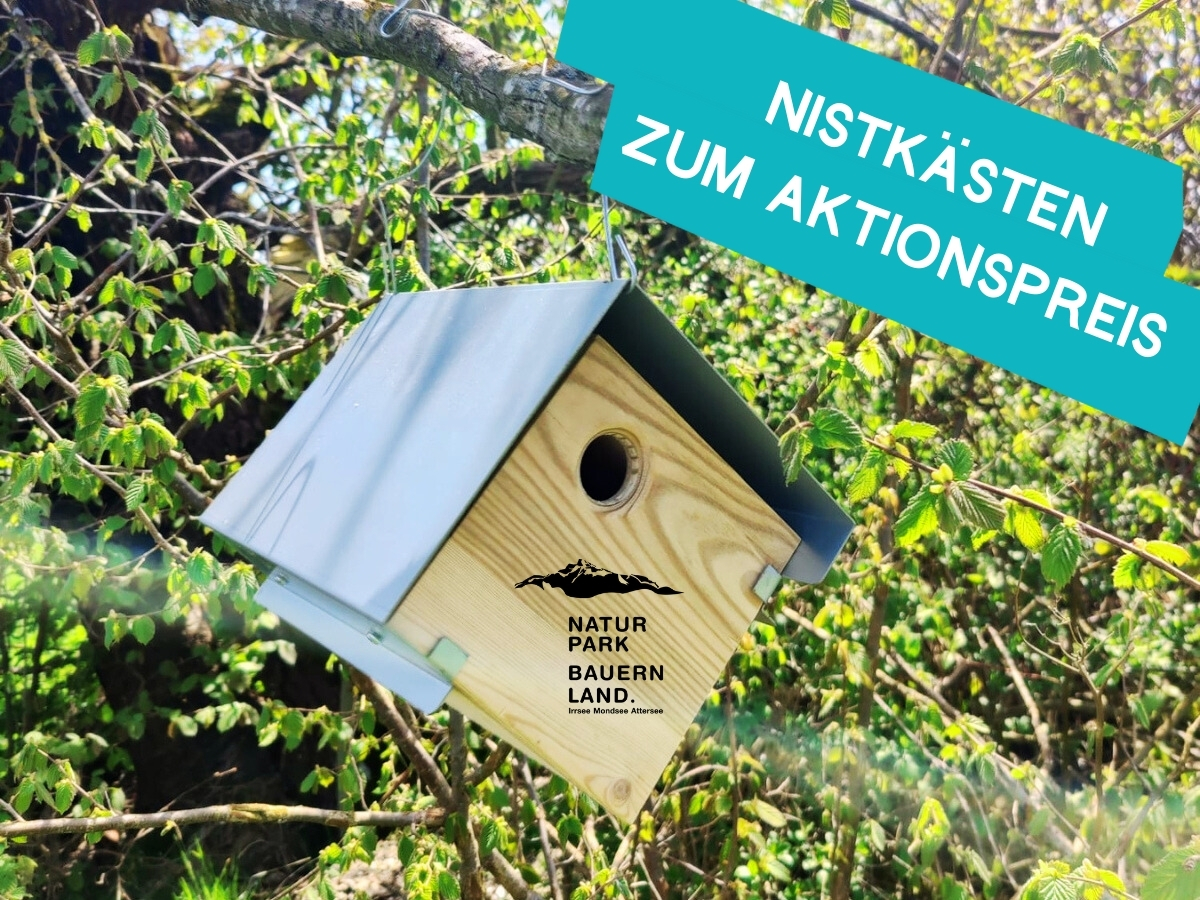 Nistkästen